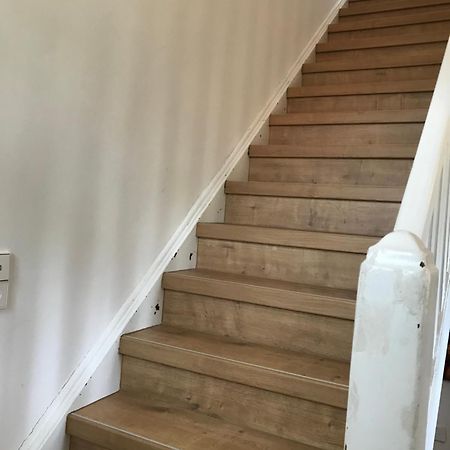 Villa Golding - Flat 2 ドレスデン エクステリア 写真